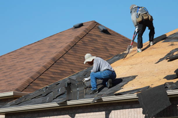 Best Green or Eco-Friendly Roofing Solutions  in Naples, TX