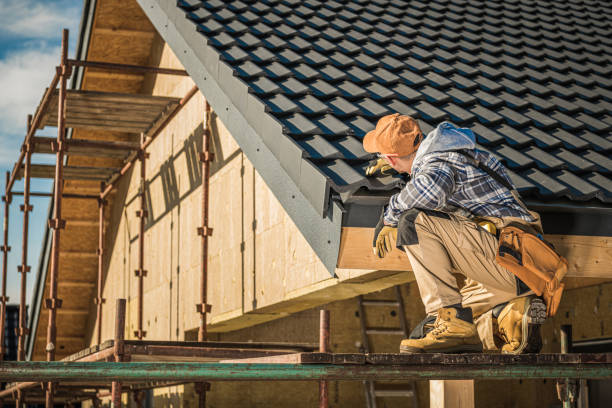 Best Siding  in Naples, TX